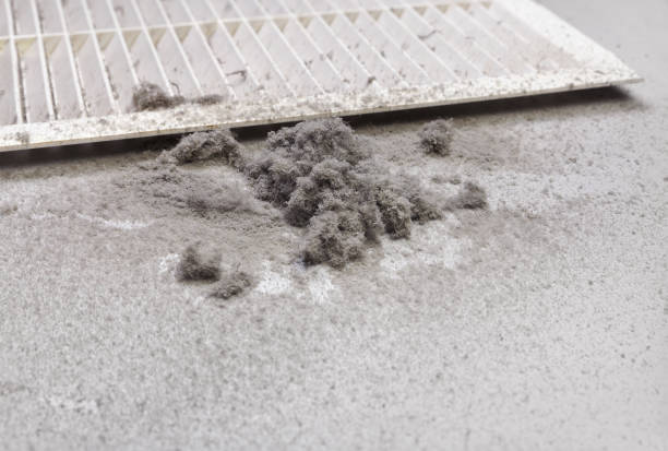 Best Air Duct Cleaning Near Me  in Laguna Beach, FL