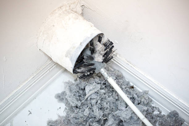 Best Air Duct Cleaning Company Near Me  in Laguna Beach, FL